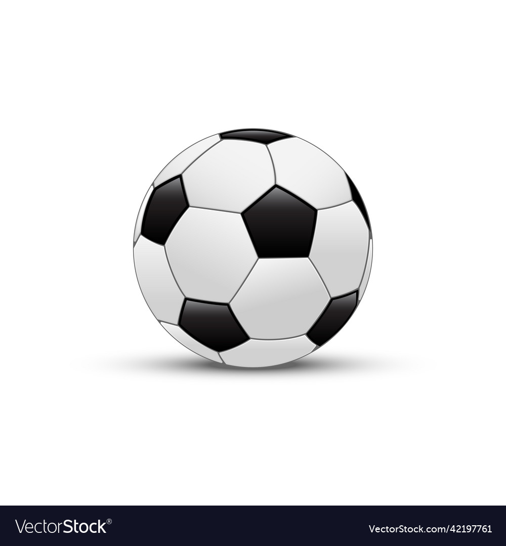 Soccer ball isolated on white background vector image Soccer ball isolated on white background