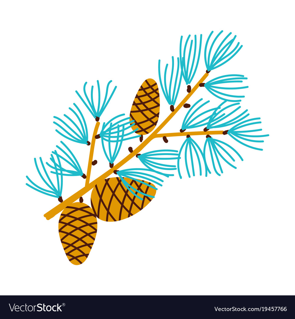 Pine Branch with Cones
