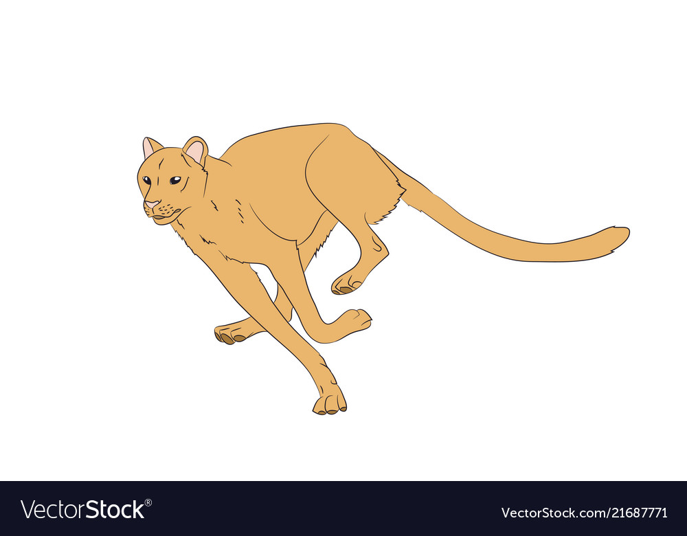 Yellow cheetah running Royalty Free Vector Image