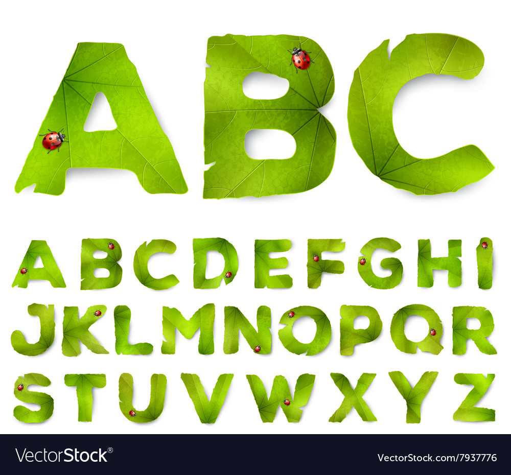 Alphabet letters made from green leaves Royalty Free Vector