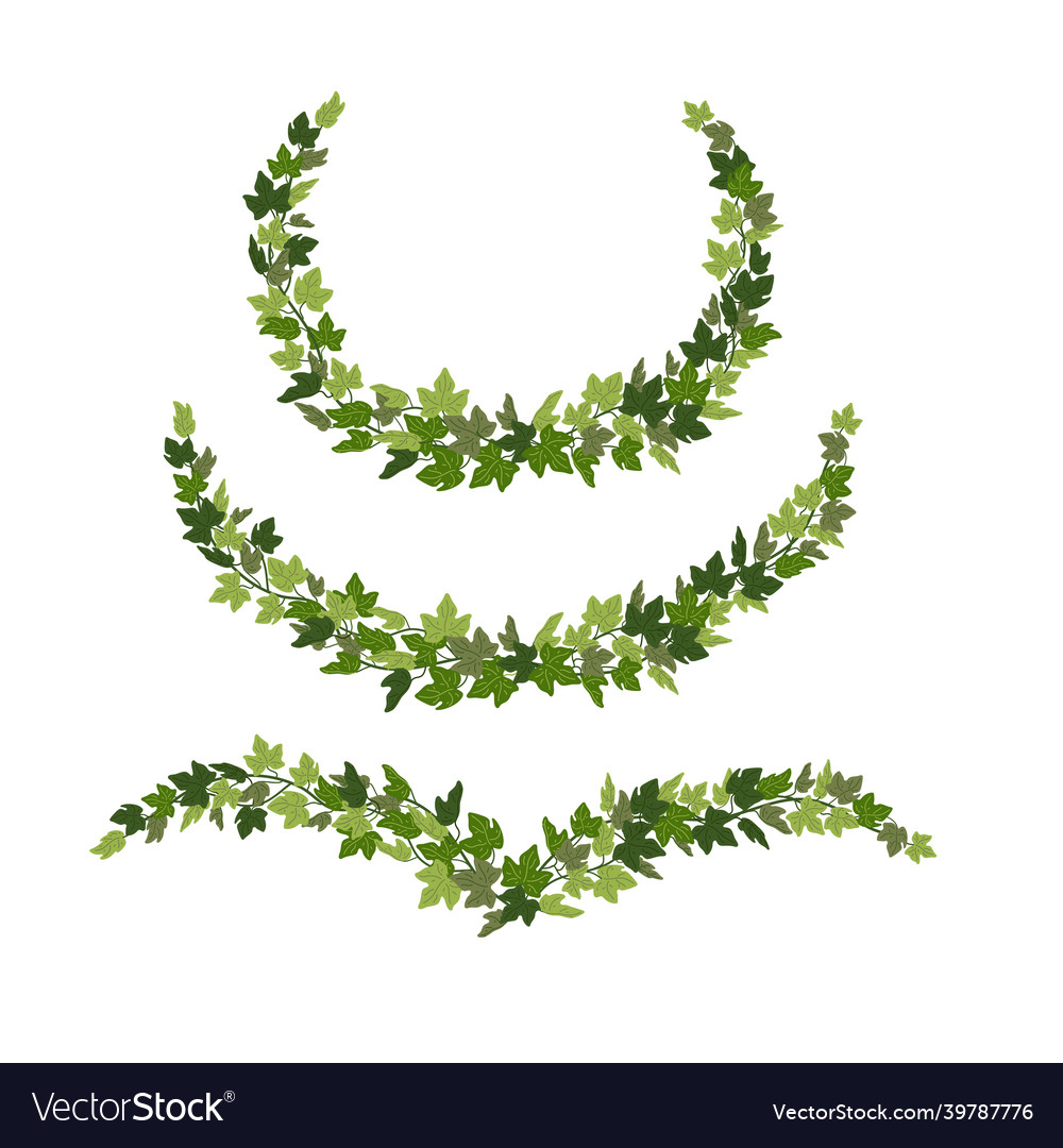 Ivy Kränze grün gruselig dekorative Design vector image Ivy Kränze grün gruselig dekorative Design