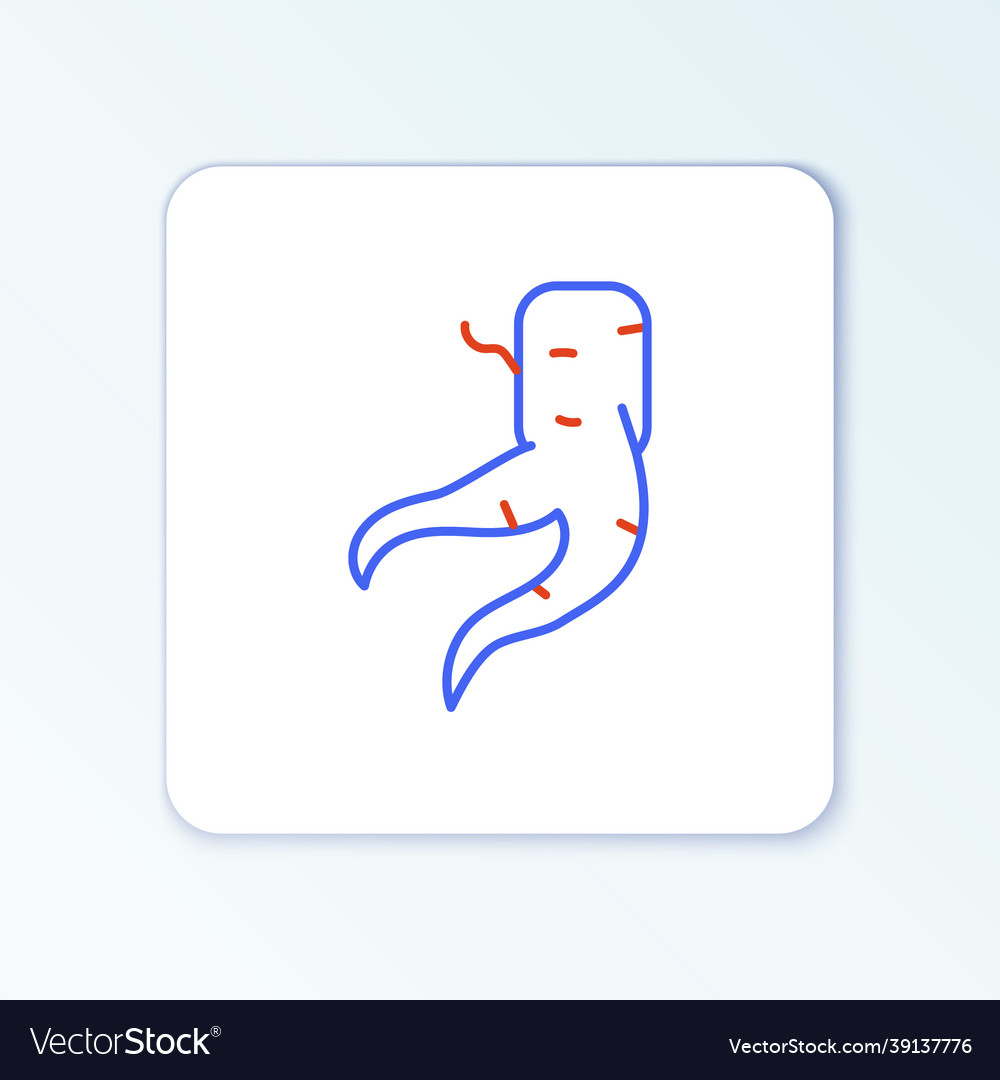 Line ginger root icon isolated on white background