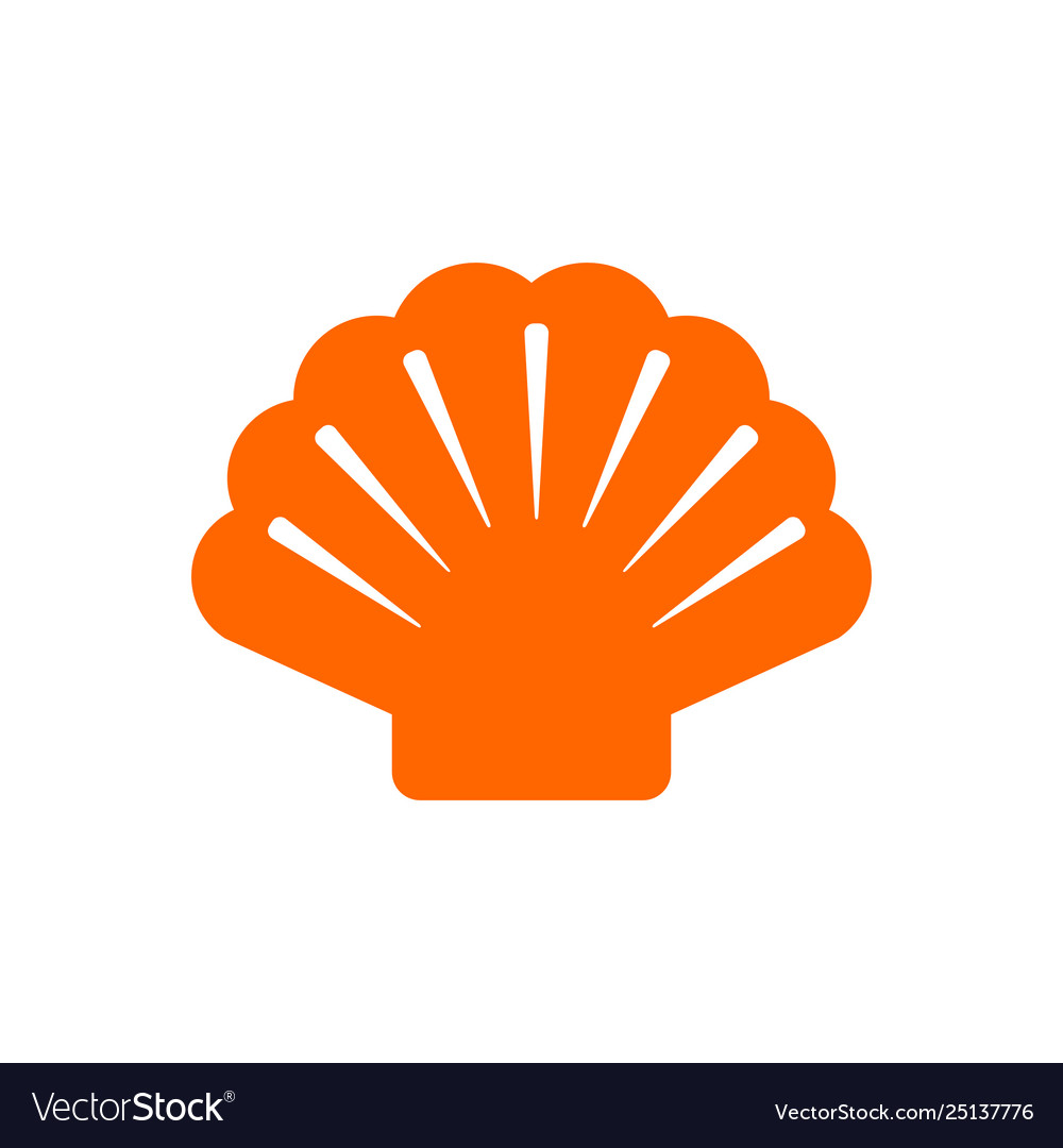 Shell and background