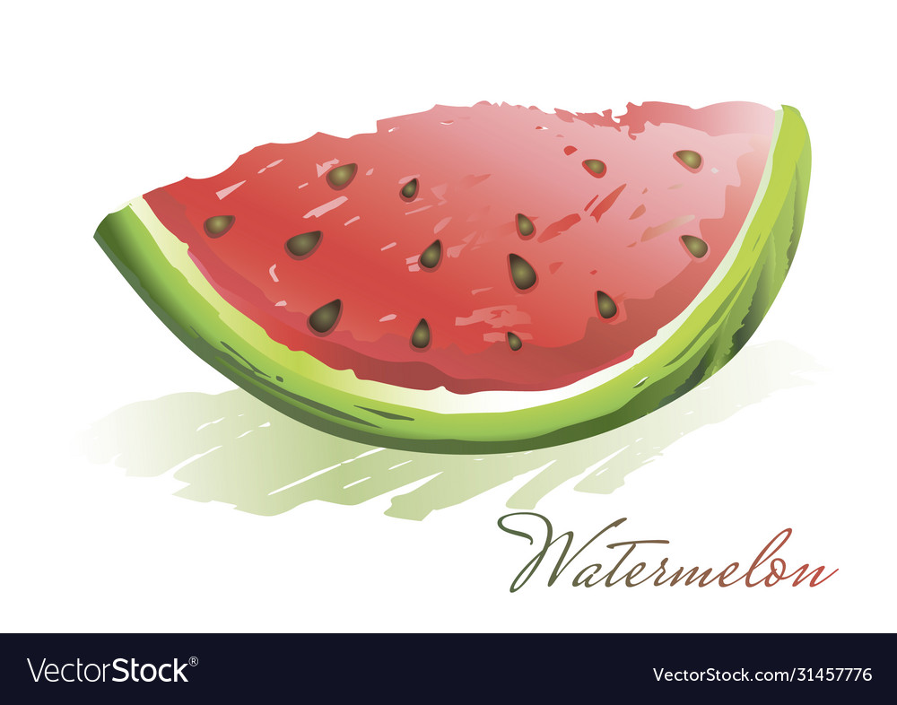Watermelon ripe slice element for your design