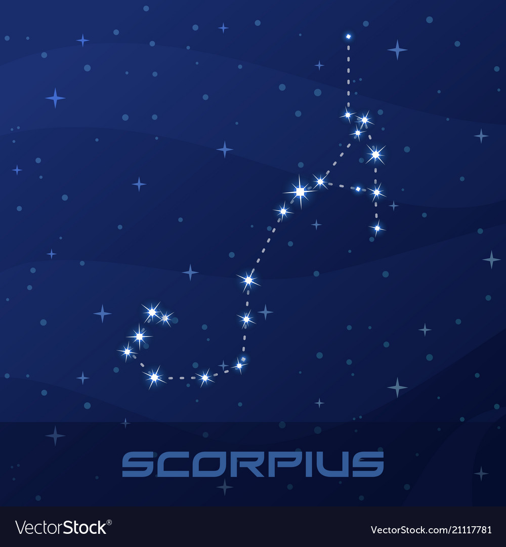 Constellation scorpius astrological sign Vector Image Constellation scorpius astrological sign