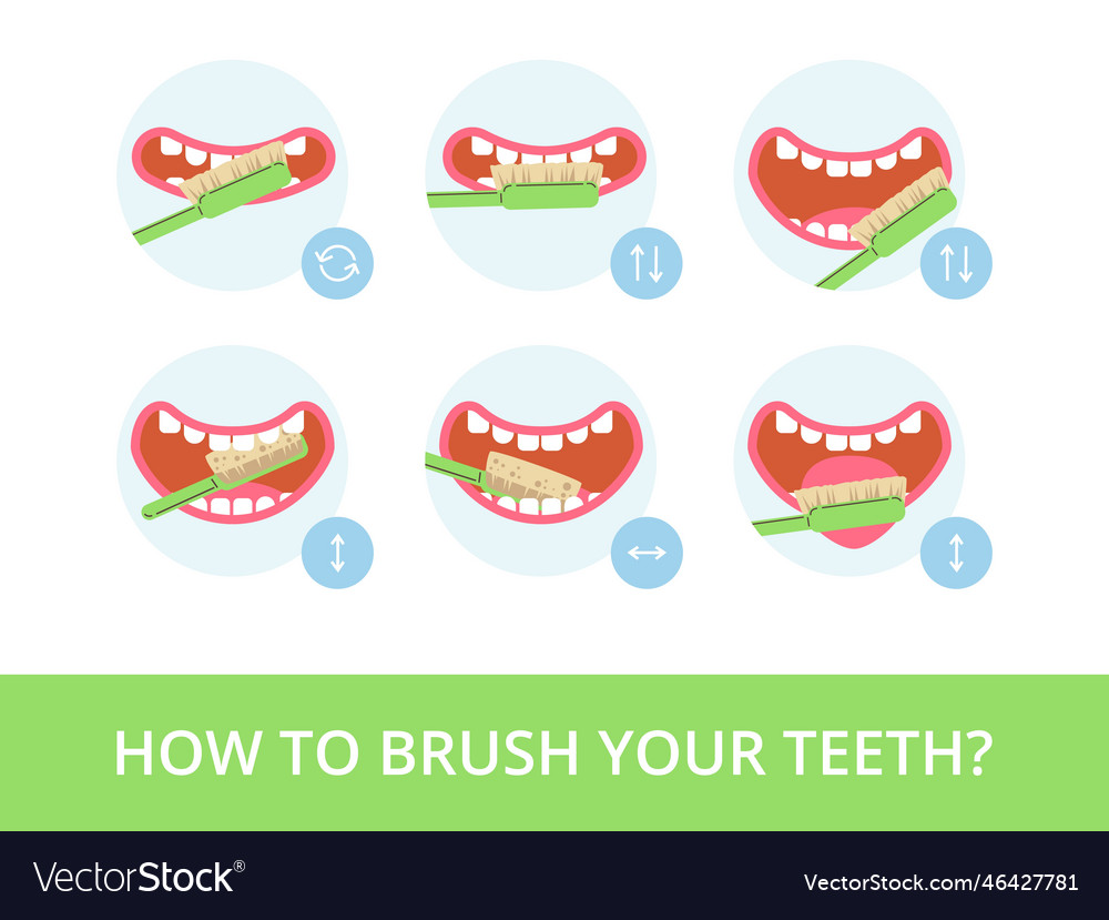 Dental care banner on correct ways to brush your Vector Image