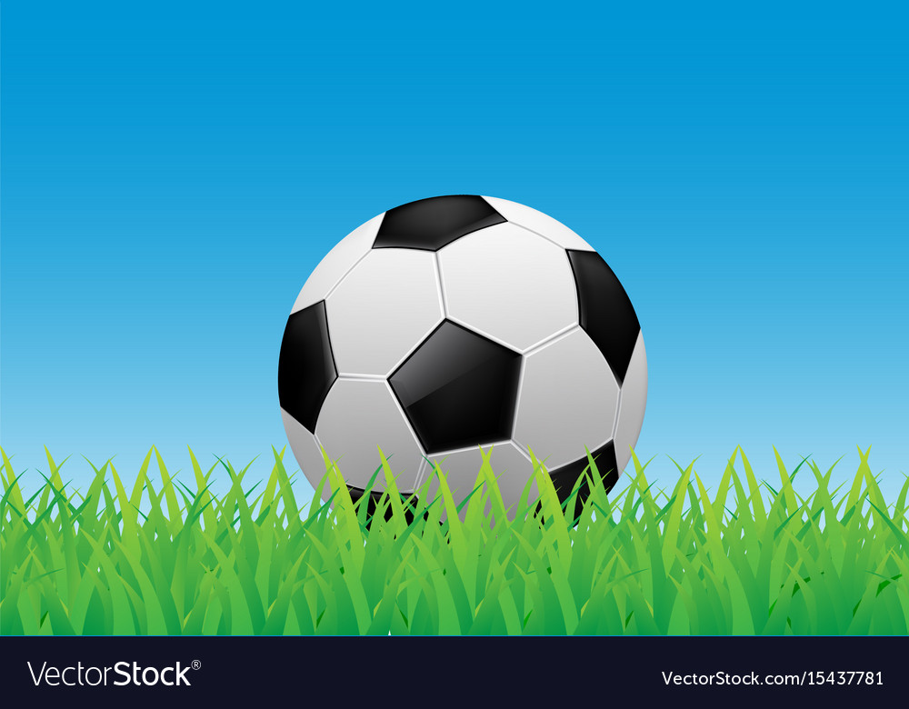 Soccer ball on green grass