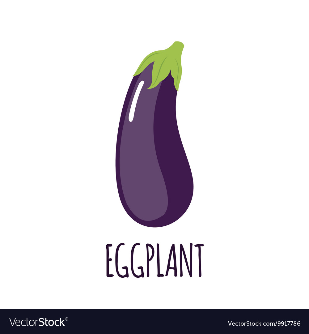 Eggplant icon in flat style on white background Vector Image