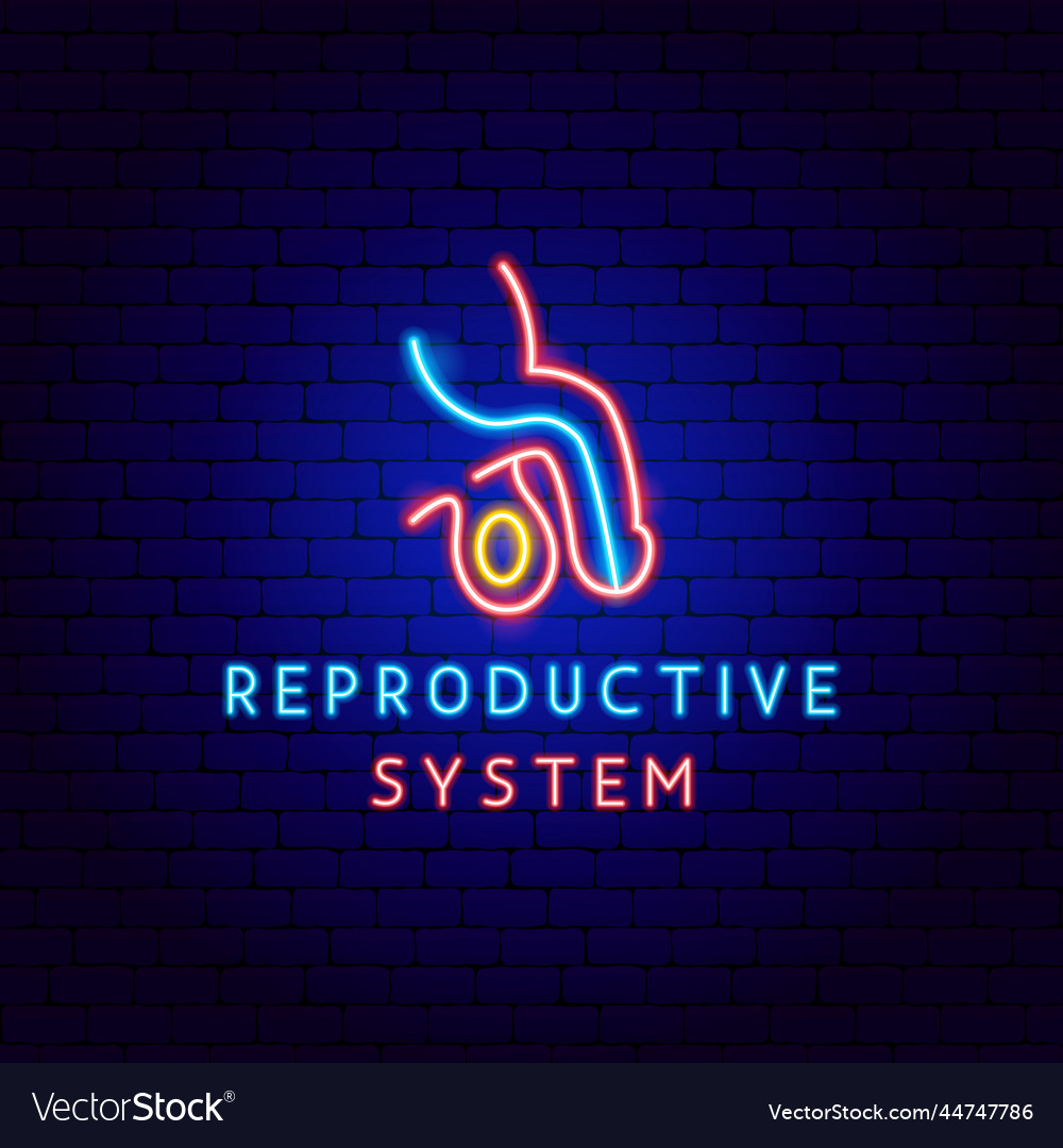 Man reproductive system neon label