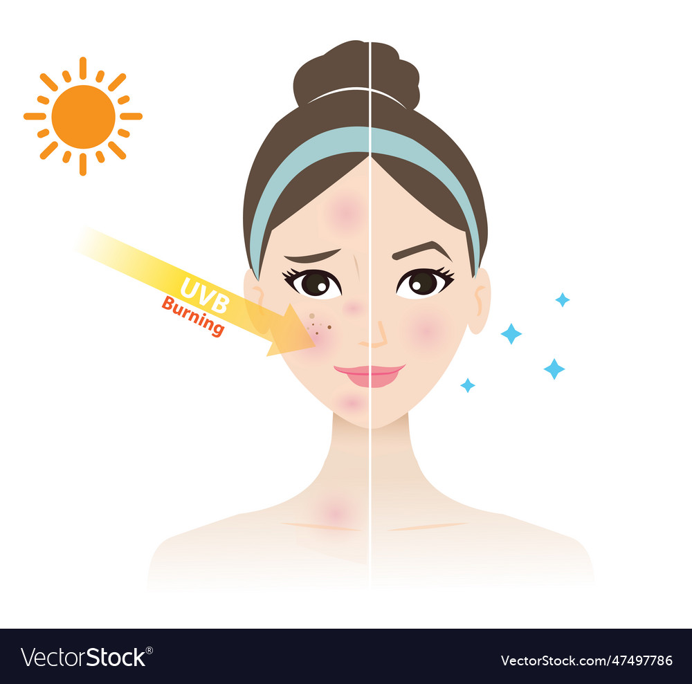 Uvb Rays Penetrate Into Woman Face Royalty Free Vector Image