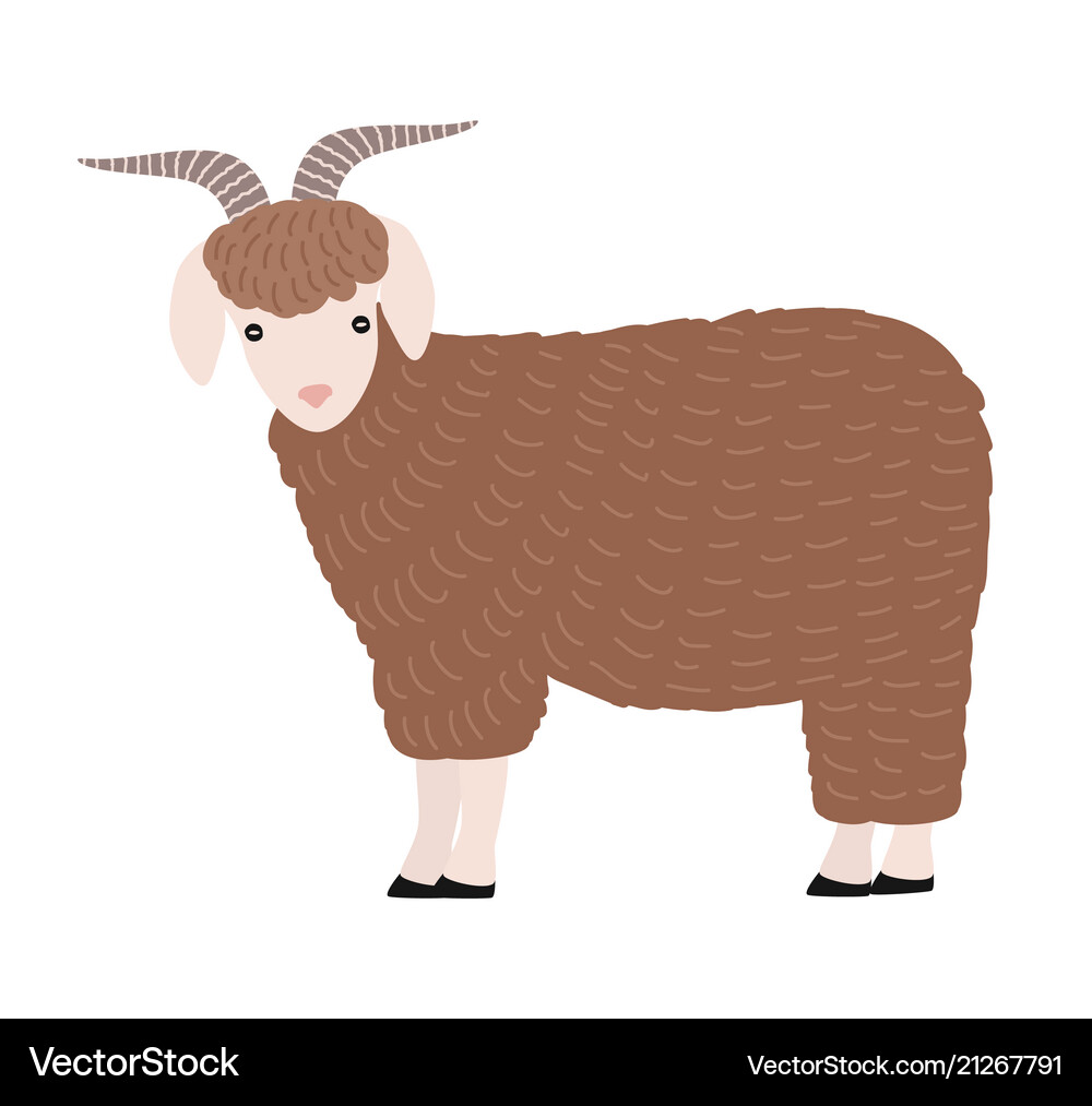 Adorable goat isolated on white background cute Vector Image