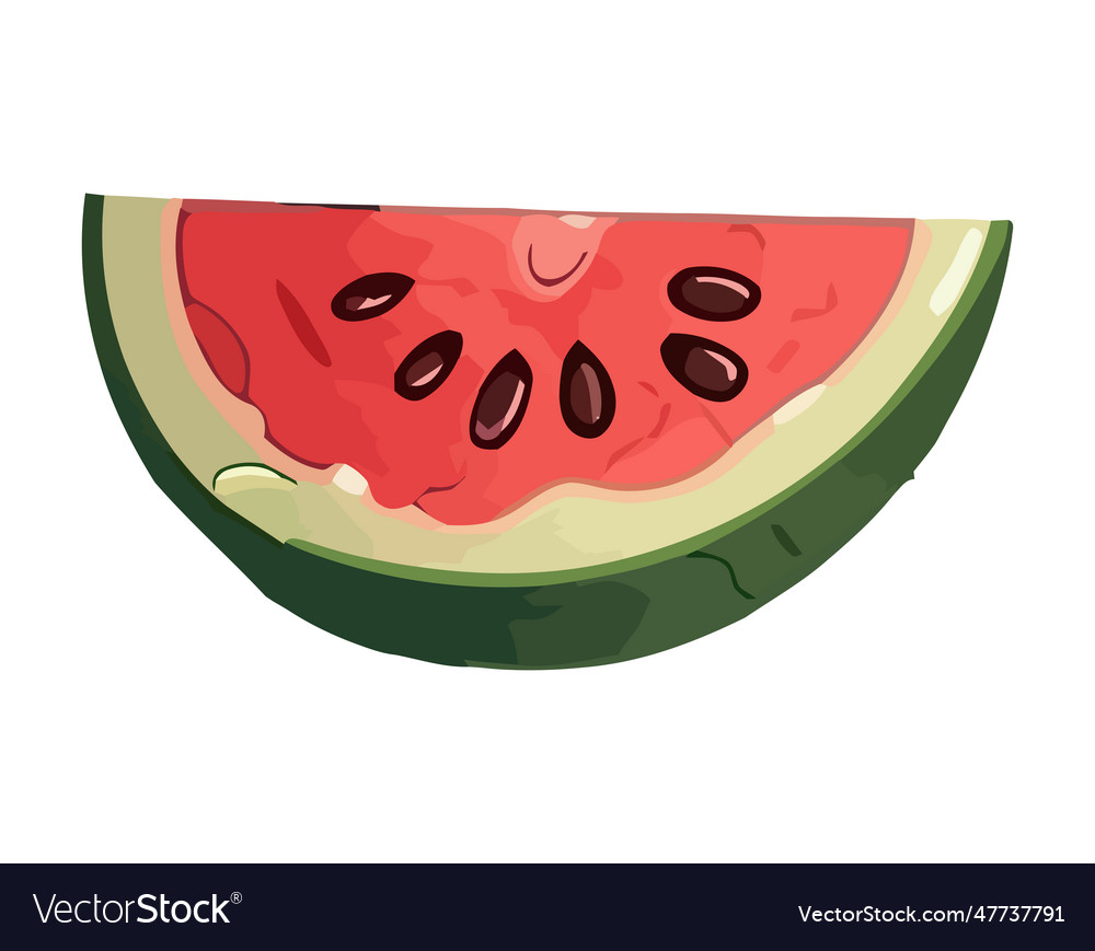 Fresh watermelon slice a juicy fruit snack Vector Image