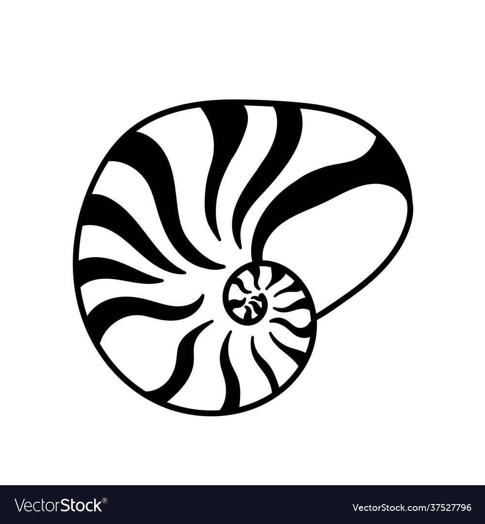 Nautilus shell snail isolated icon Vector Image Nautilus shell snail isolated icon