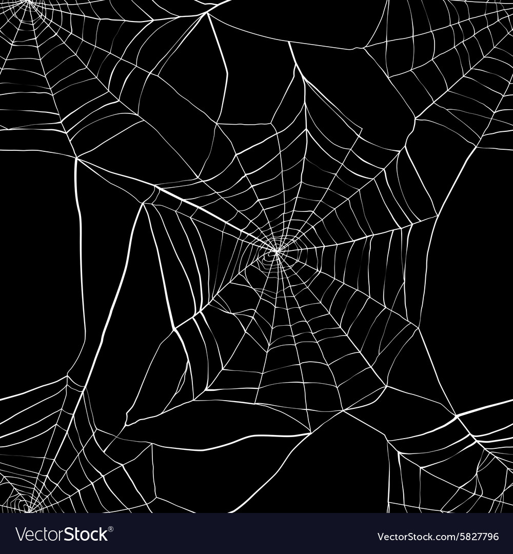 Seamless pattern with spider web Royalty Free Vector Image