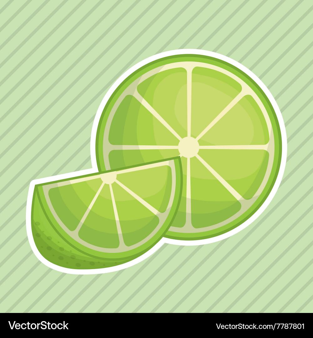 Fruit icon design Royalty Free Vector Image - VectorStock