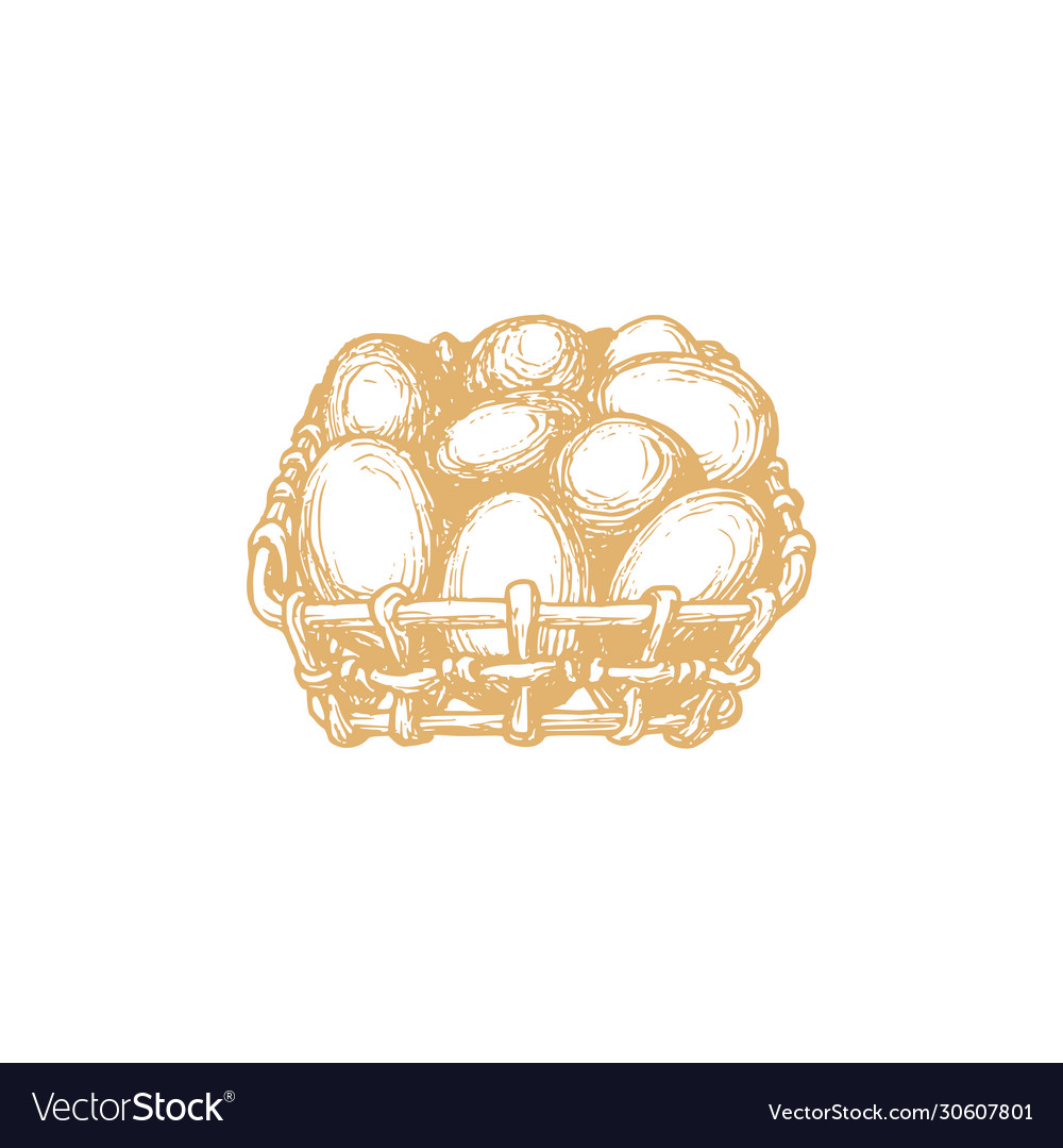 Hand drawn eggs basket in graphic