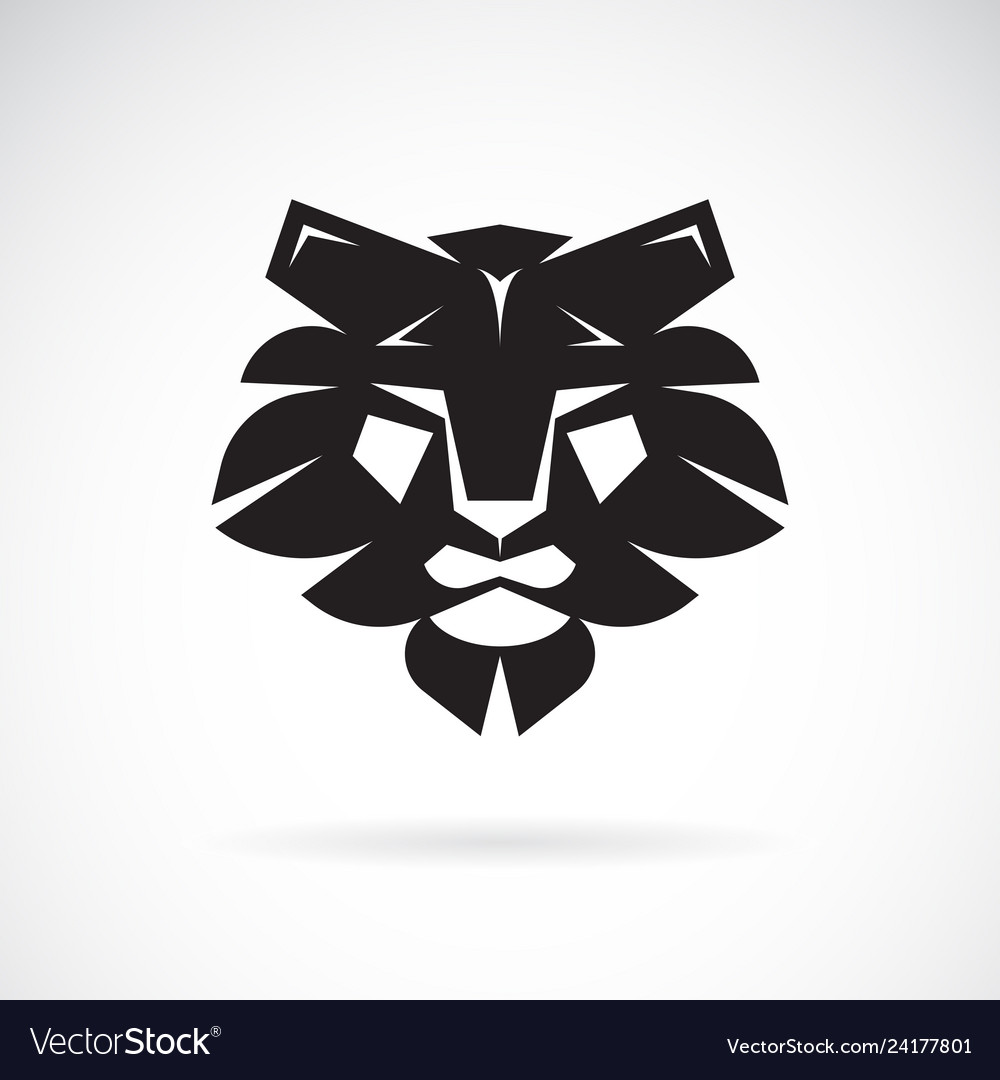 Lion face design on white background wild animals vector image Lion face design on white background wild animals