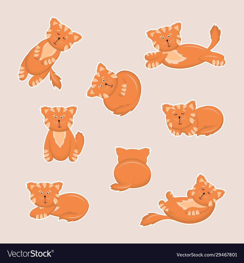 Red fluffy cat with white stripes Royalty Free Vector Image