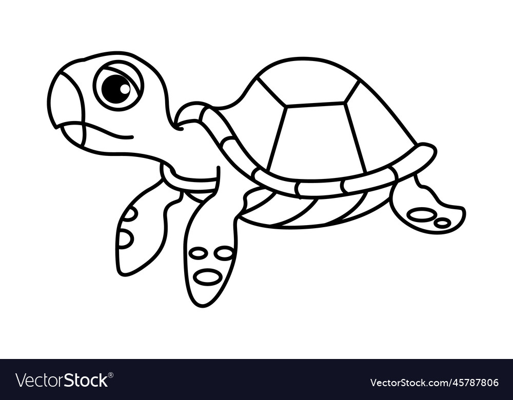 Funny turtle cartoon Royalty Free Vector Image