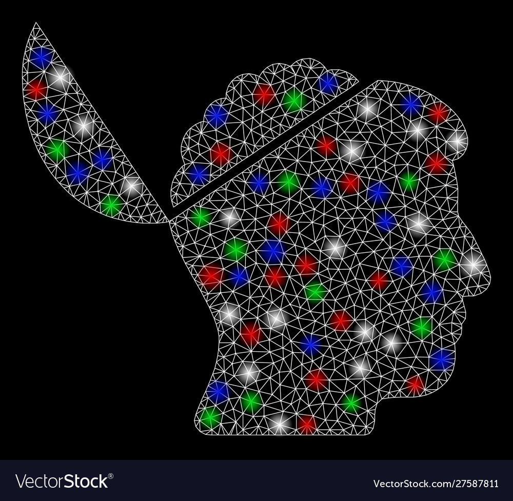 Bright mesh network open brain with flare spots vector image Bright mesh network open brain with flare spots