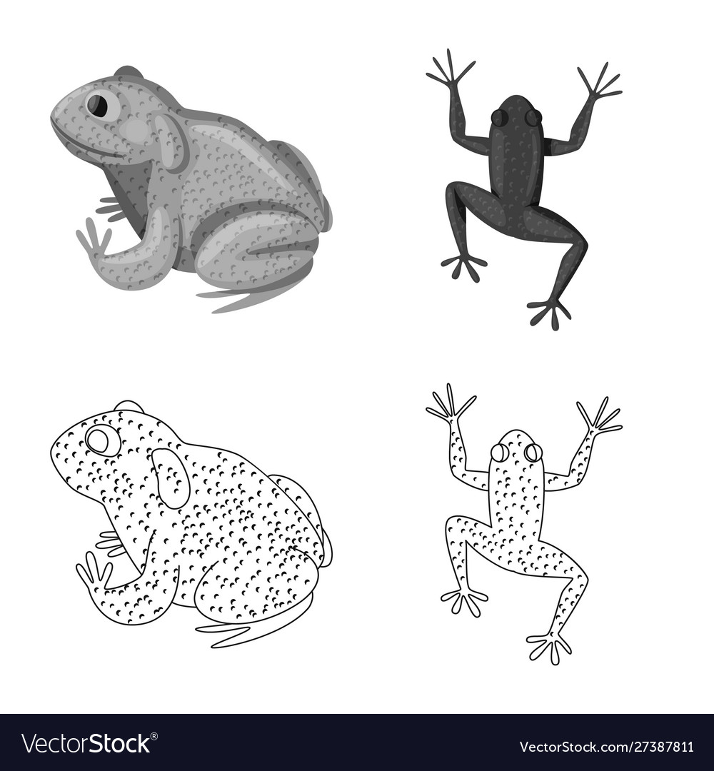 Isolated object wildlife and bog logo set