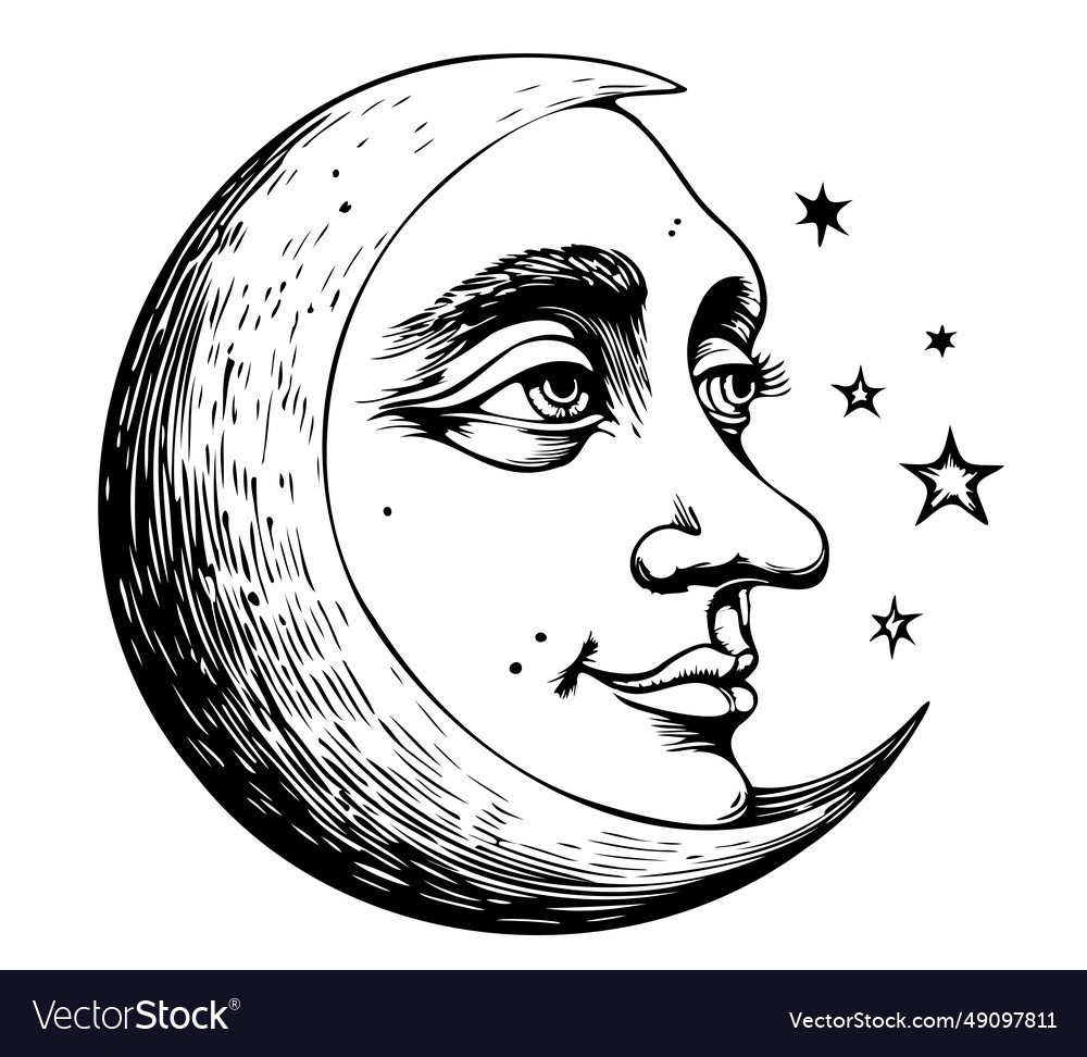 Moon crescent in engraving style Royalty Free Vector Image