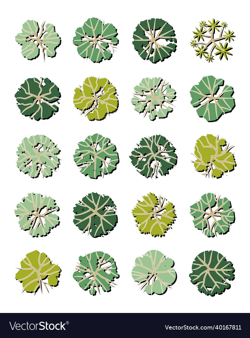 Set of top view tree