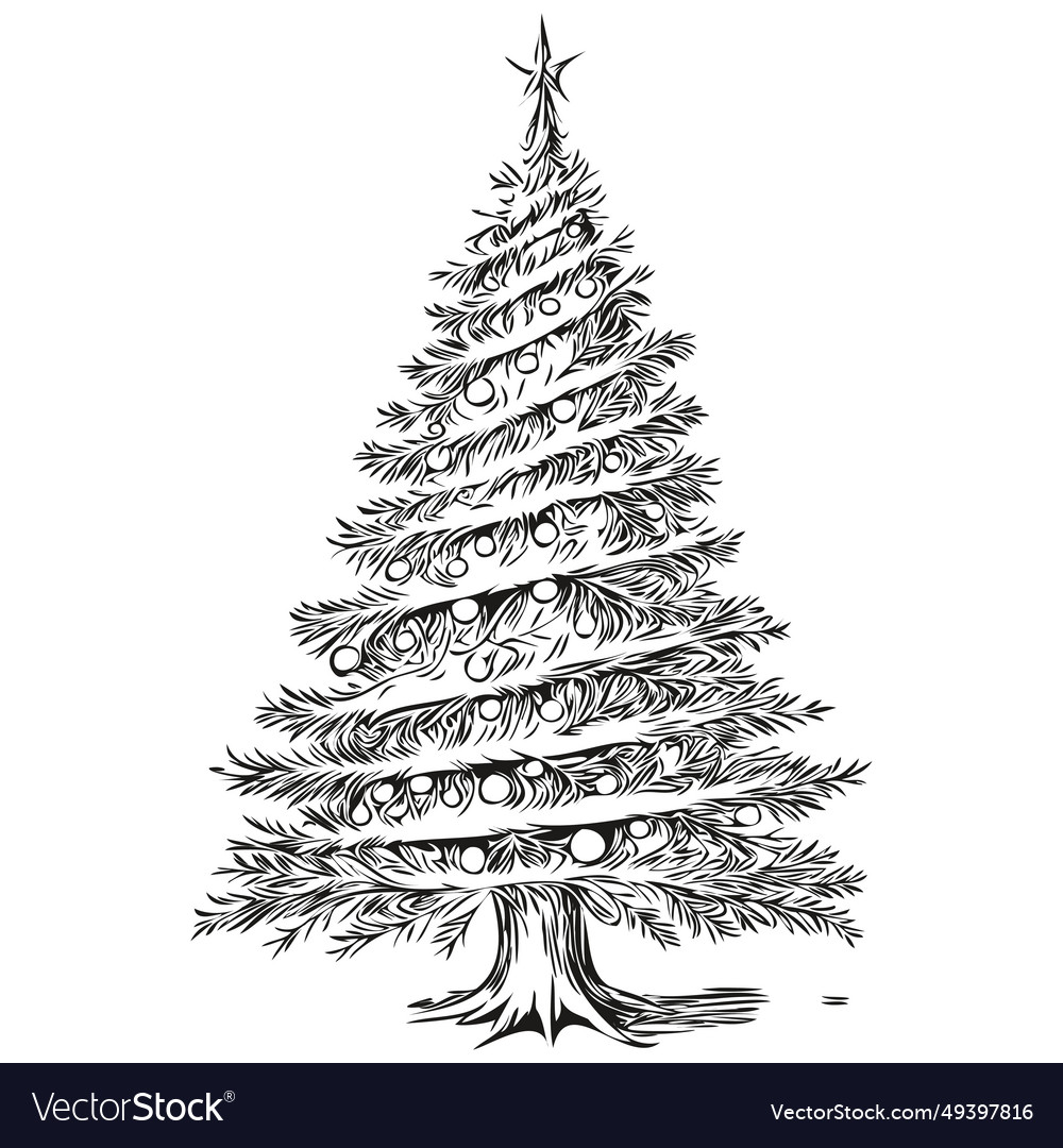 Christmas tree vintage engraved hand drawn sketch Vector Image