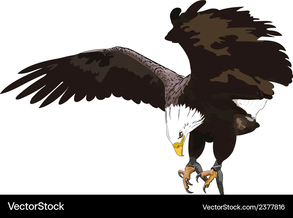 Golden eagle Royalty Free Vector Image - VectorStock