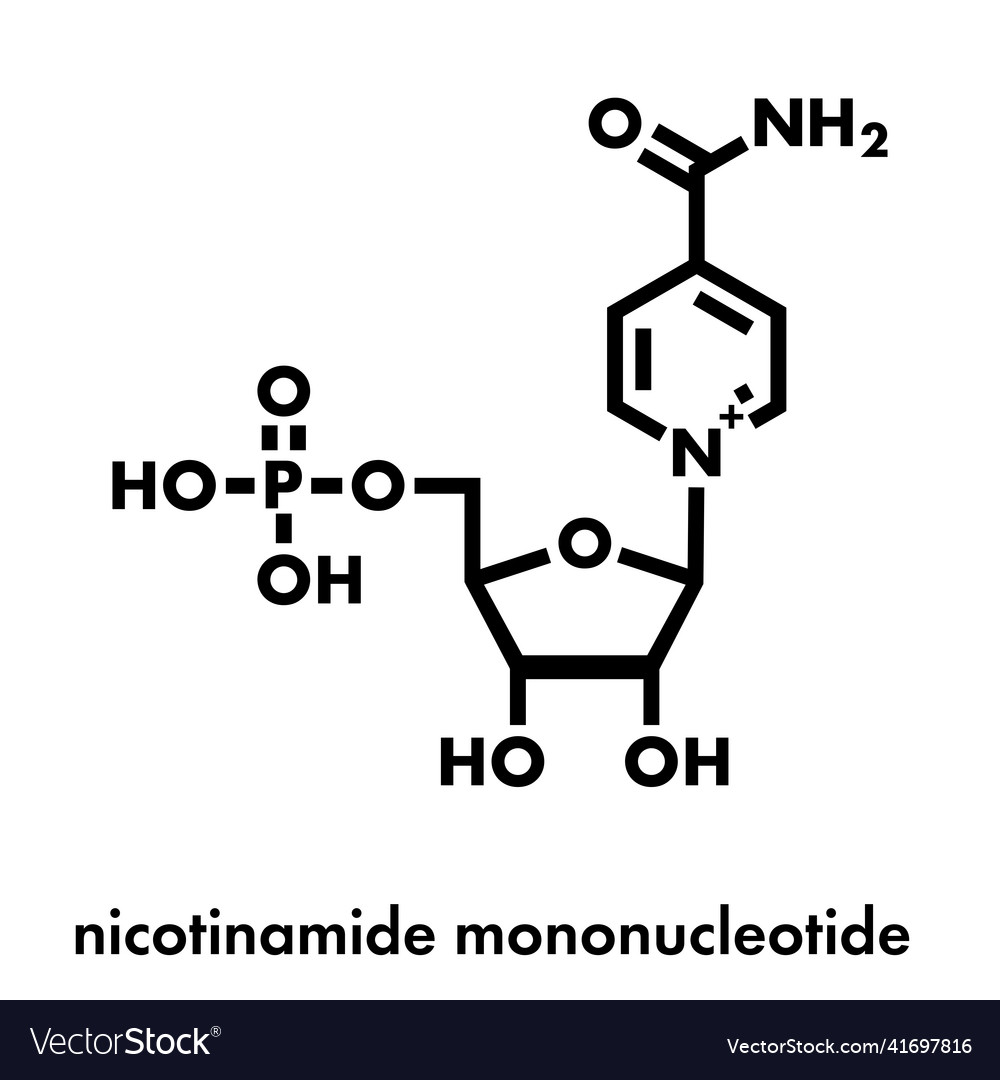 Nicotinamide mononucleotide molecule precursor