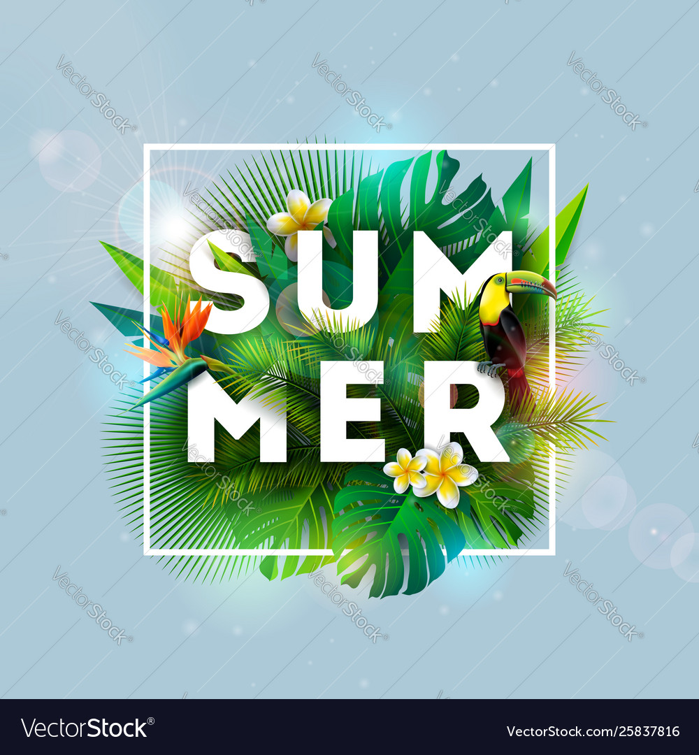 Summer holiday design with toucan bird parrot