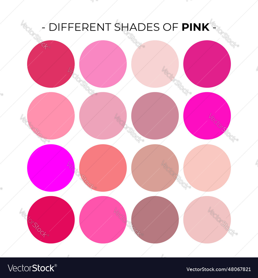 Color palette set design template Royalty Free Vector Image