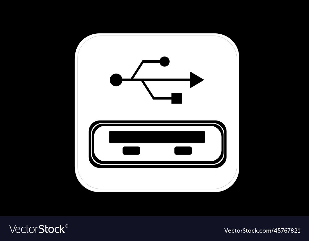 Input usb flash icon symbol Royalty Free Vector Image
