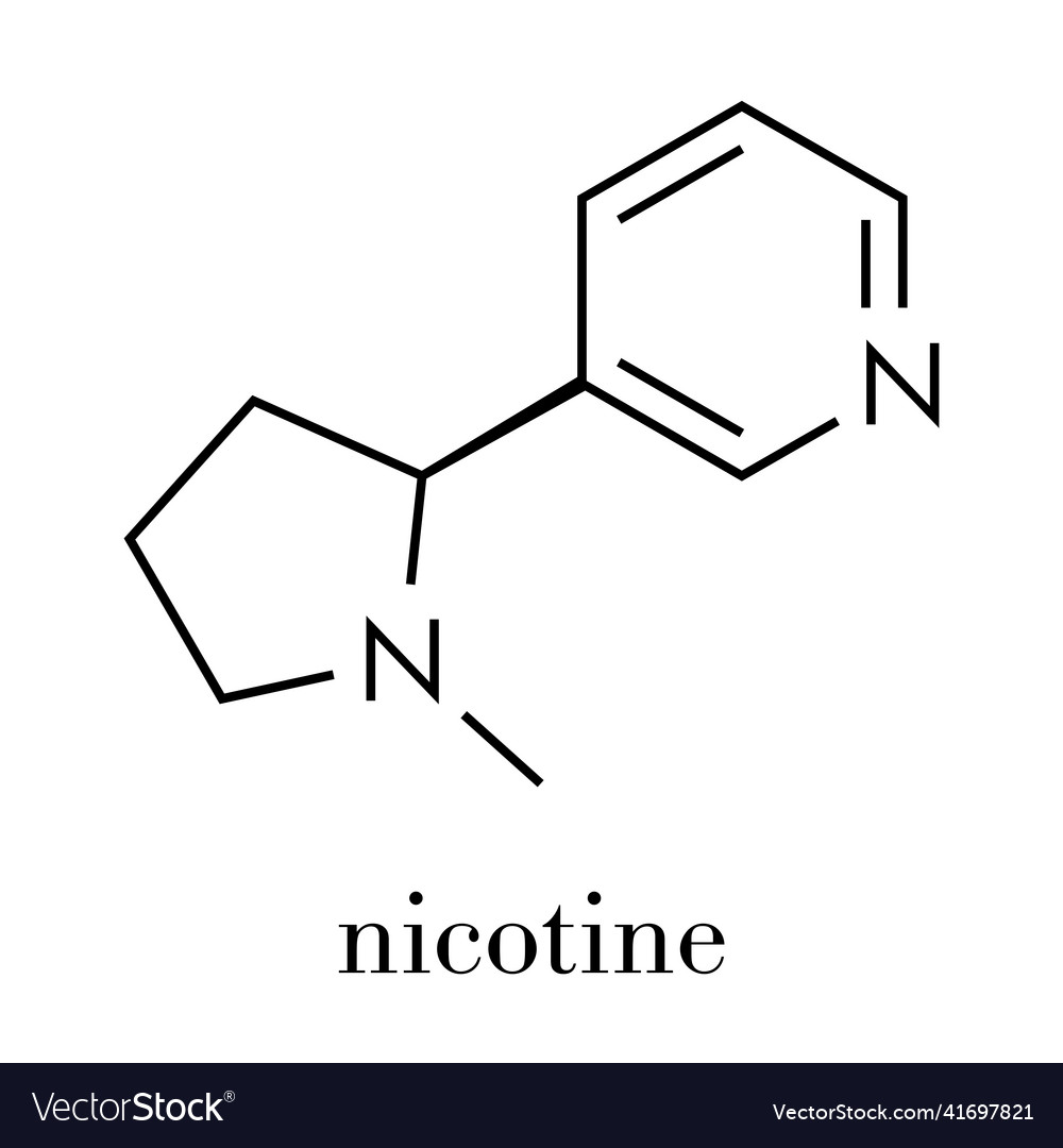 Nicotine tobacco stimulant molecule main Vector Image