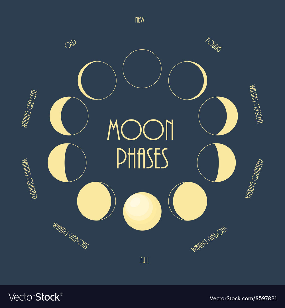 Six moon phases minimal flat Royalty Free Vector Image