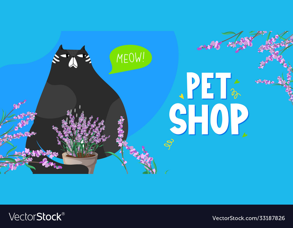 Fat cat with thought speech bubble and text
