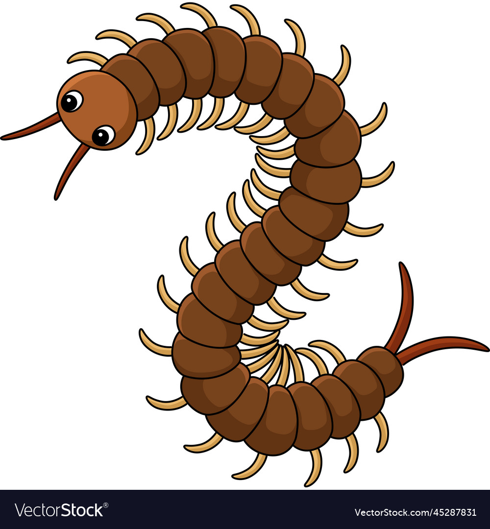 Centipede animal cartoon colored clipart