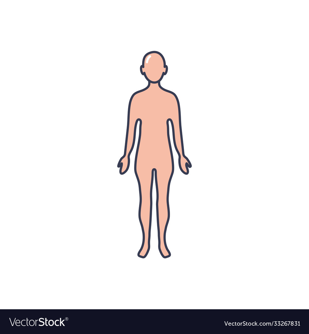 Human Body Icon Line Fill Style Royalty Free Vector Image