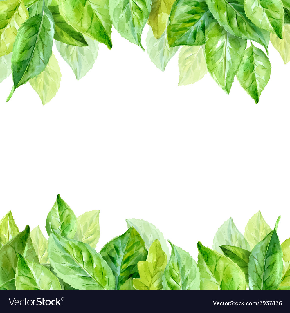 Spring leaves watercolor Royalty Free Vector Image