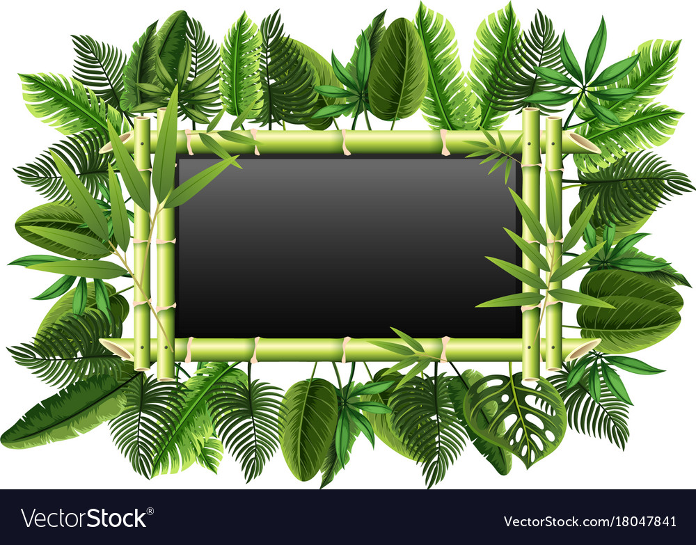 Blackboard with bamboo and green leaves