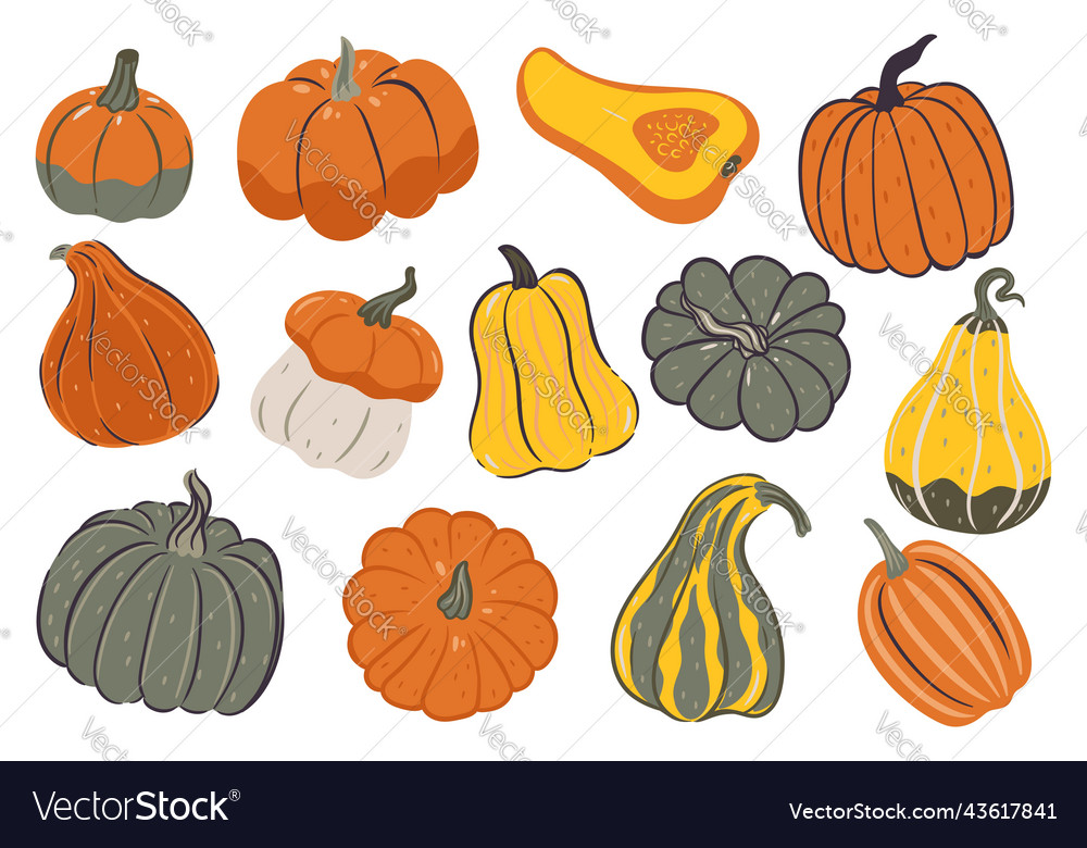 Set of pumpkins various shapes and colors