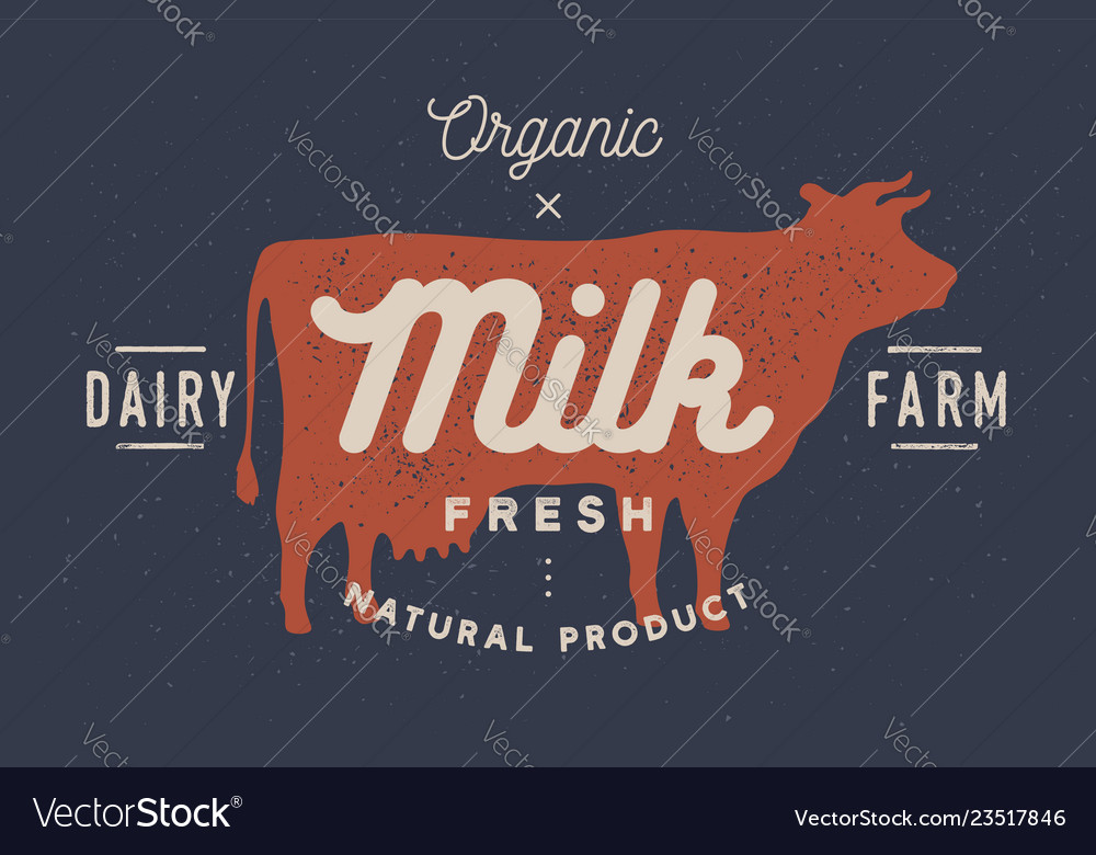 Milk cow logo with cow silhouette text milk Vector Image