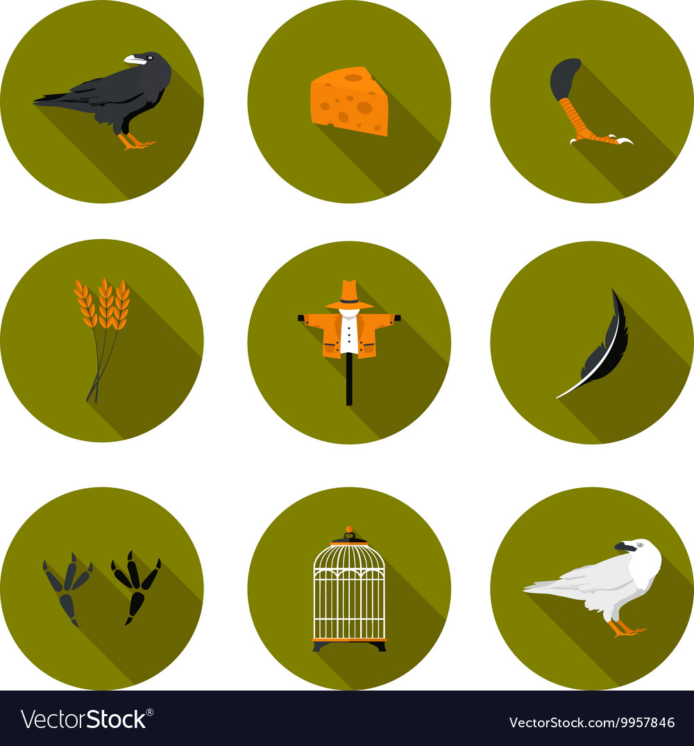 Set of flat icons crow