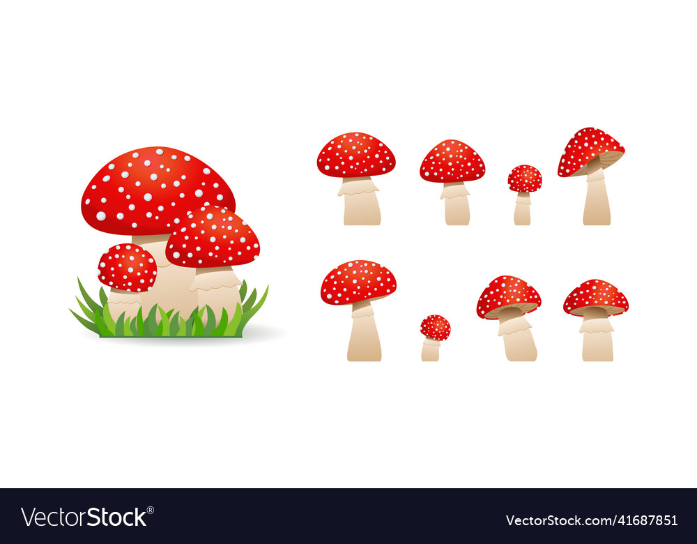 Big set mushrooms toadstool cute inedible Vector Image