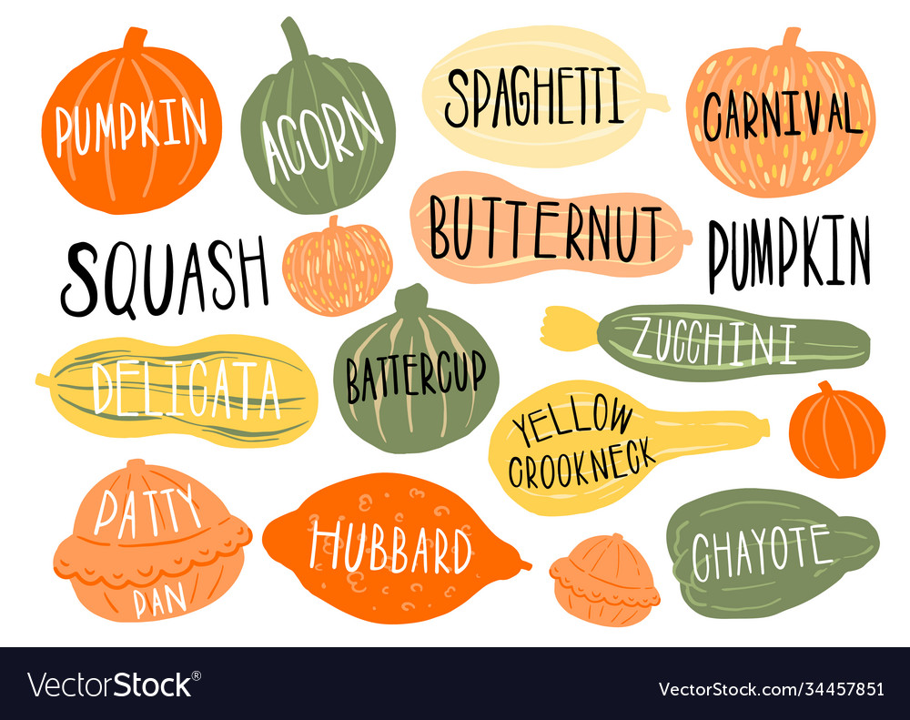 Pumpkin set type name collectionvarieties shape