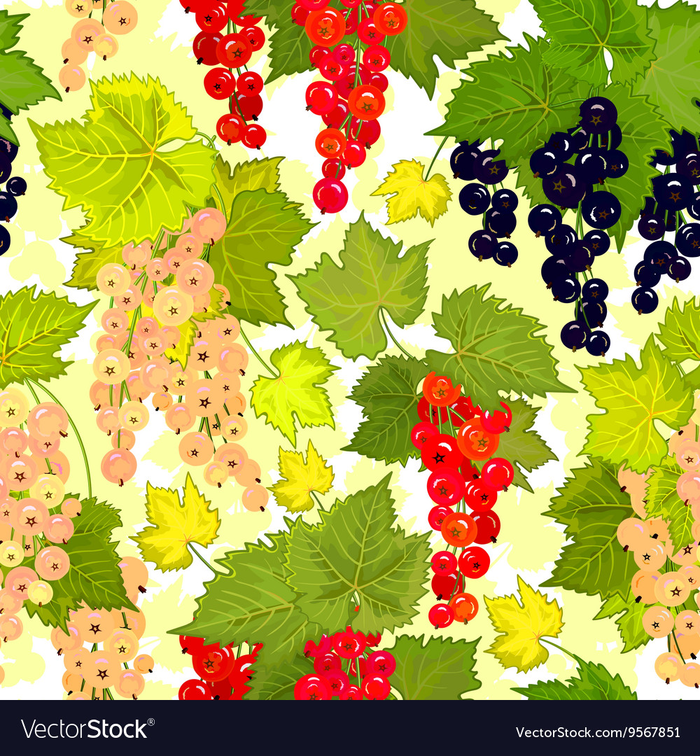 Red currant seamless pattern collection