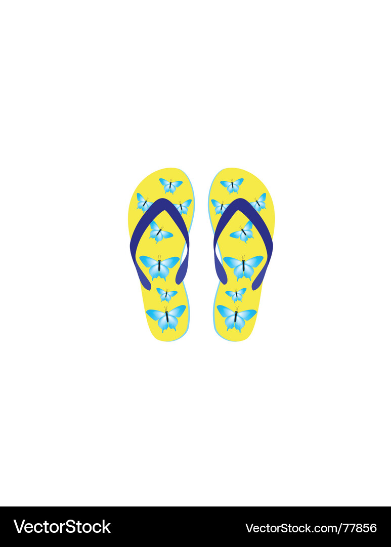 Beach sandals Royalty Free Vector Image - VectorStock