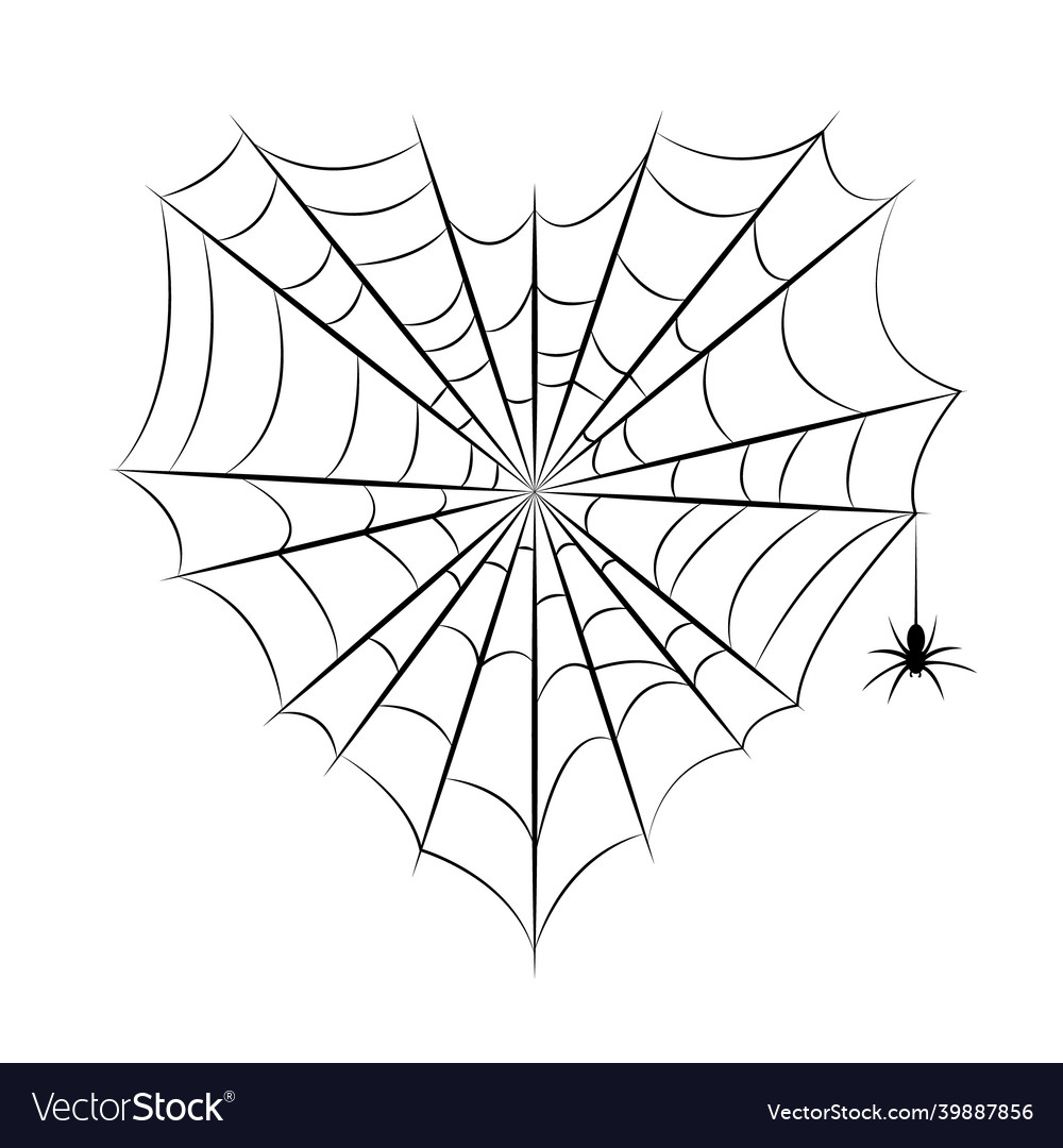 Cobweb isolated background spider web Vector Image Cobweb isolated background spider web