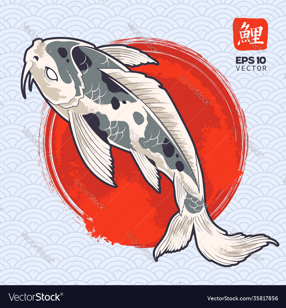 Koi fish drawing Royalty Free Vector Image - VectorStock