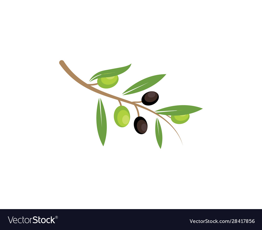 Olive logo icon Royalty Free Vector Image - VectorStock